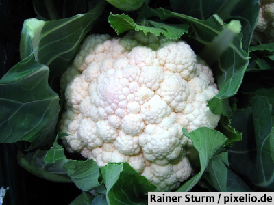 Blumenkohl mit Chilischoten