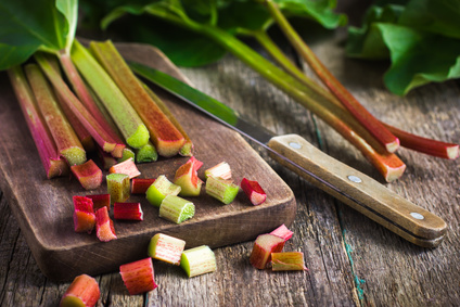 Rhabarber Fenchel salat